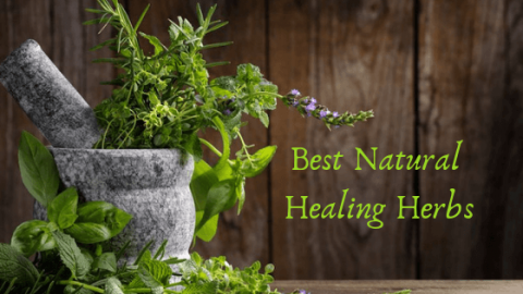 natural healing herbs
