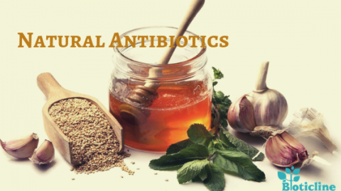 natural antibiotics