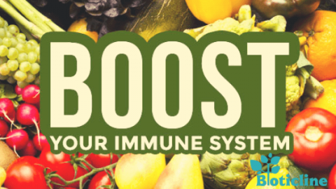 foods for boosting immune system