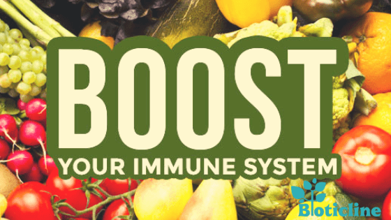 foods for boosting immune system