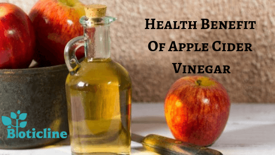 health benefits of apple cider vinegar