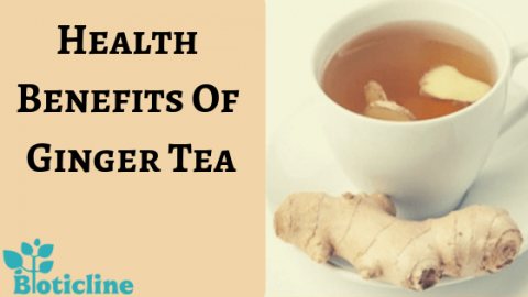 health benefits of ginger tea