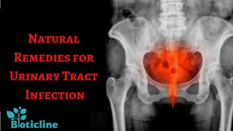 Natural Remedies For Urinary Tract Infection