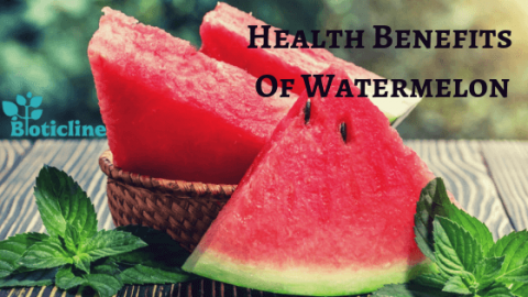 health benefits of watermelon